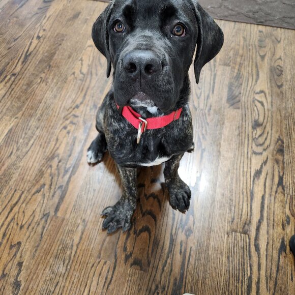 Meet your Posher, Mary (& Family) of Original Angel Jewelry - Picture 9 of 11